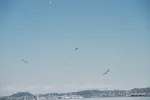 mic_54492968416_o
