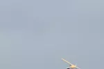 20250501_TraunseeDSC_6969